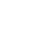 стриж-3